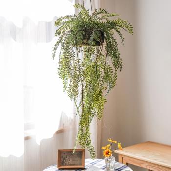 掬涵模擬蕨類植物吊球綠植物花藝吊籃裝飾森系擺件商鋪櫥窗造景