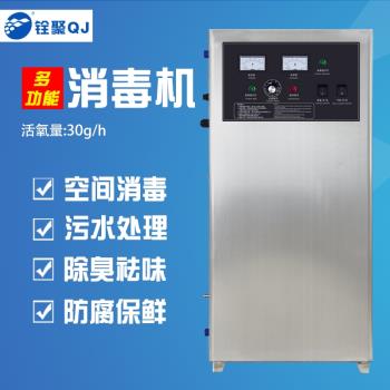 銓聚臭氧發生器30g食品廠車間殺菌消毒除異味多功能飲用水消毒機
