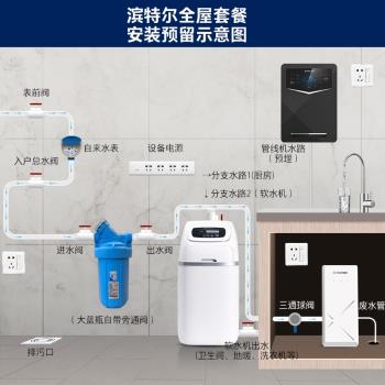 Pentair/濱特爾鯨小白軟水機家用中央凈水器別墅全屋處理過濾套裝