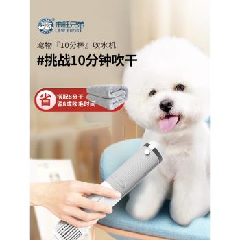 寵物吹水機10分棒高速吹乾貓咪烘乾手持吹風低音狗狗沐浴金毛洗澡