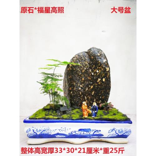 正宗梅花玉天然原石菊花荷花雪花石盆景魚缸造景手把件黃河奇石|裝飾擺