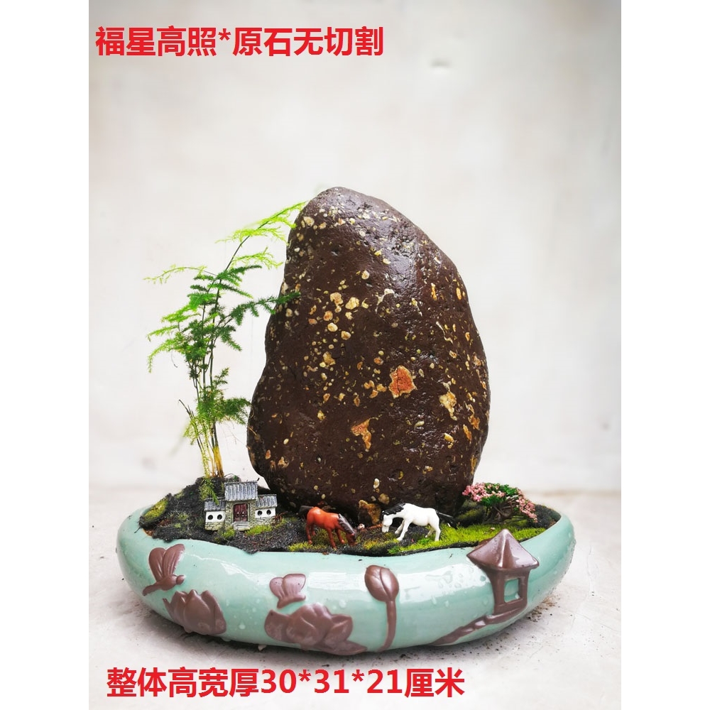 正宗梅花玉天然原石菊花荷花雪花石盆景魚缸造景手把件黃河奇石|裝飾擺