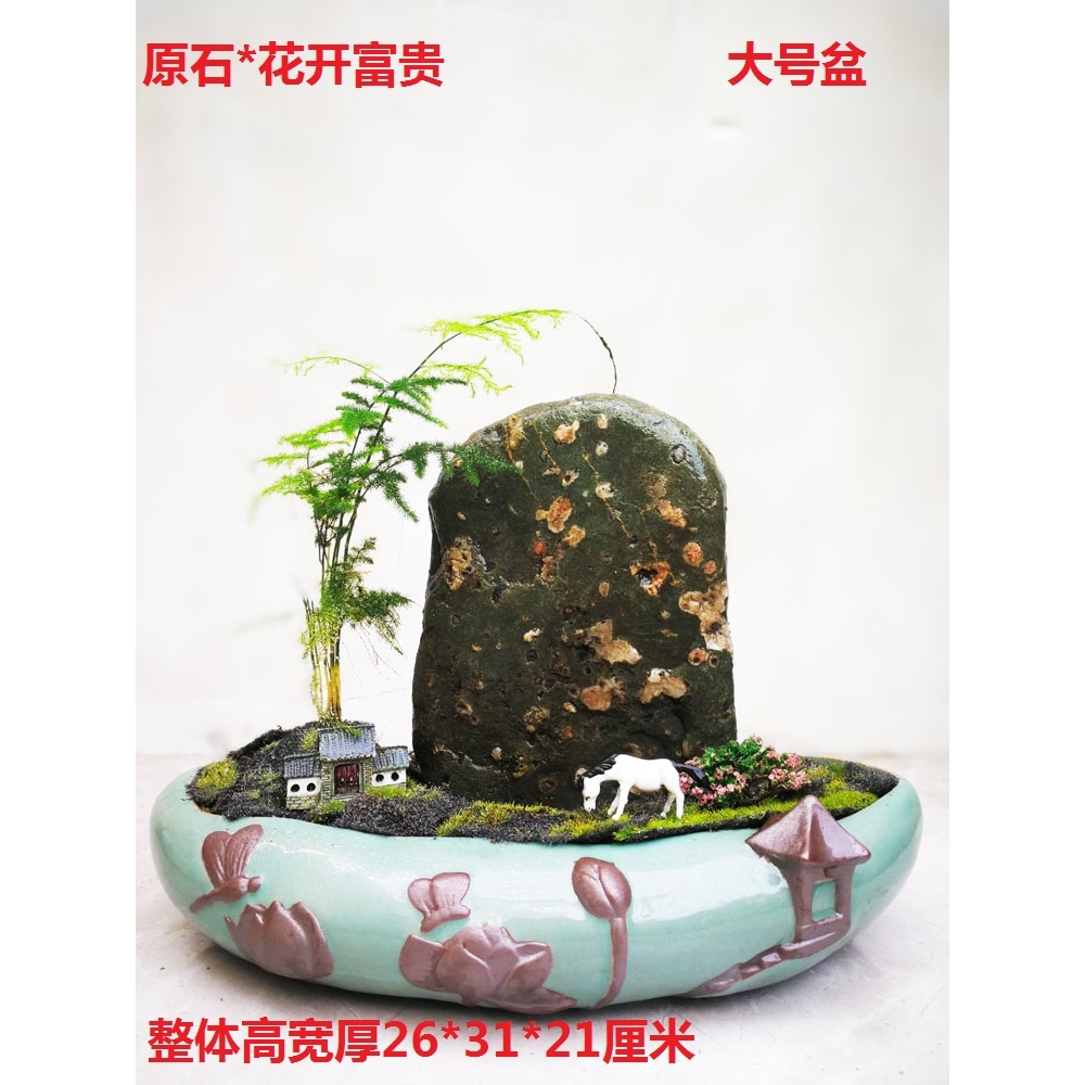 正宗梅花玉天然原石菊花荷花雪花石盆景魚缸造景手把件黃河奇石|裝飾擺