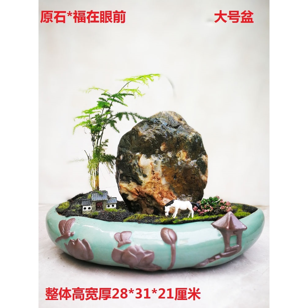 正宗梅花玉天然原石菊花荷花雪花石盆景魚缸造景手把件黃河奇石|裝飾擺