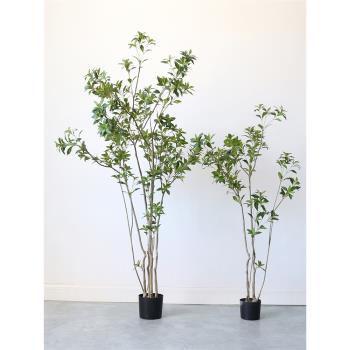 模擬綠植室內盆栽假樹客廳辦公室吊鐘天堂鳥孔雀木仿生植物盆景