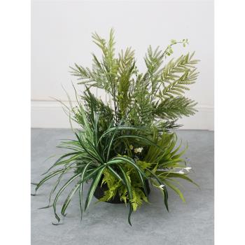 小型模擬綠植擺件庭院景觀佈置創意植物軟裝造景花草櫥窗裝飾套裝