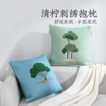遠夢刺繡抱枕辦公室汽車靠墊抱枕含芯女生睡覺男生款沙發客廳靠枕