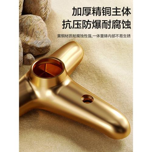 箭牌衛浴全銅淋浴龍頭浴室花灑浴缸簡易花灑套裝可升降增壓雨噴頭