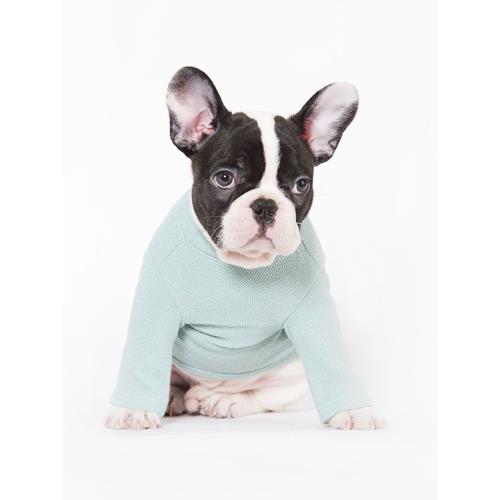 sniff寵物狗狗貓咪春秋裝高領針織打底T恤泰迪法斗中小型犬衣服新