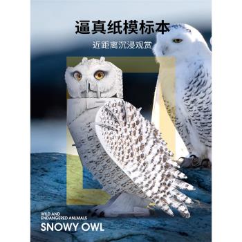 樂立方兒童科普瀕危野生動物模型雪鴞海龜鸚鵡鯊魚拼裝3D立體拼圖