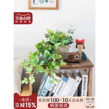 阿楹 書架餐邊櫃上綠植吊蘭假花模擬多肉垂藤蔓盆栽壁龕裝飾擺件