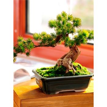 模擬迎客松樹盆景植物客廳羅漢松盆栽餐桌面假花擺件茶幾擺設裝飾