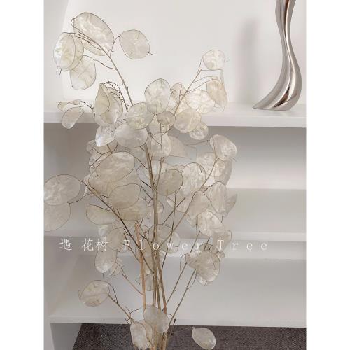 ins風銀扇葉永生花干花花瓶高級感新款花束真花客廳擺設裝飾擺件