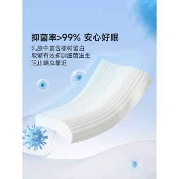NAYAGOM特拉雷側睡天然乳膠枕