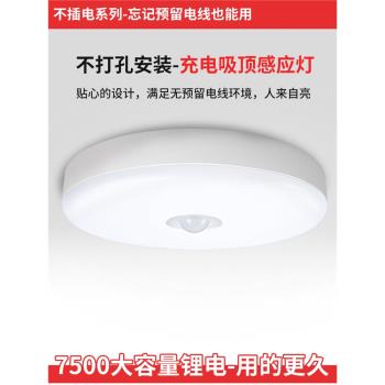大容量夜晚廁所衛生間門口感應燈