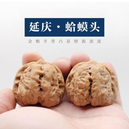 文玩核桃 蛤蟆头 文玩核桃蛤蟆头-文玩核桃蛤蟆头促销价格、文玩核桃蛤蟆头品牌- 淘宝