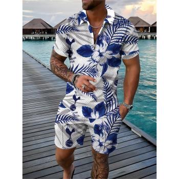 Casual lapel 3D printed shorts set休閑翻領3D印花短褲套裝男士