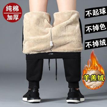 衛褲羊羔絨秋冬季加肥加大褲子