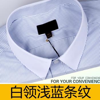 時尚白領格紋春季休閑長袖襯衫