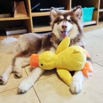自嗨解悶玩具大型犬陪伴柯基狗狗