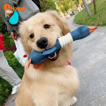 狗狗玩具發聲磨牙耐咬解悶神器柯基犬金毛小狗尖叫雞耐咬寵物用品