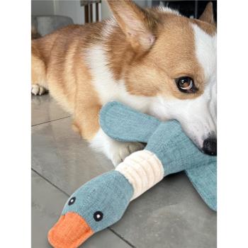 狗狗玩具磨牙耐咬解悶神器狗泰迪柯基幼犬小狗發聲寵物犬消耗體力