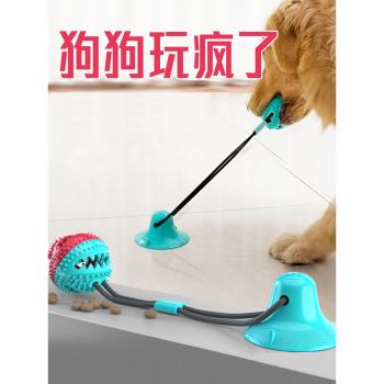 解悶神器邊牧金毛寵物用品狗狗