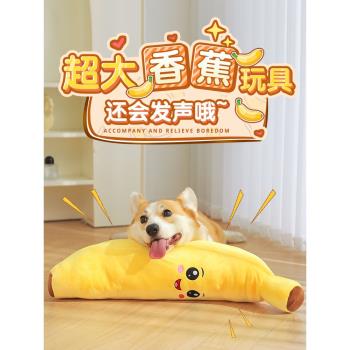 狗狗玩具解悶神器自嗨發聲寵物小狗毛絨玩偶大狗磨牙耐咬柯基用品