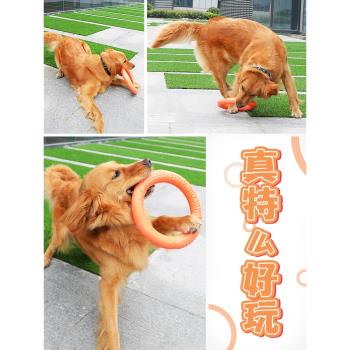 泰迪耐咬磨牙博美圓環膠圈狗狗
