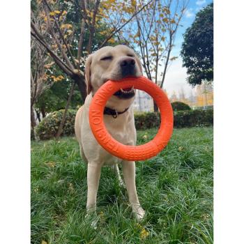 邊牧大型犬拉布拉多寵物用品狗狗