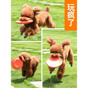 飛盤狗專用戶外寵物邊牧幼犬飛盤