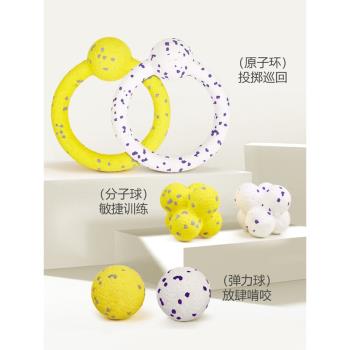 FOFOS兩只福貍 狗狗玩具球耐咬磨牙玩具邊牧金毛柯基大型犬寵物球