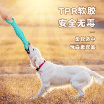 寵物怪叫發聲玩具拉環互動訓練狗狗消耗體力用品金毛拉布拉多柯基