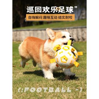 邊牧訓練專用自嗨解悶神器狗狗