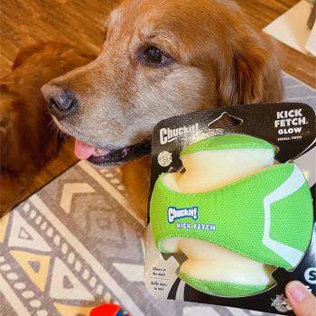 Petmate chuckit 寵物狗狗戶外玩具中大型犬互動訓練巡迴夜光足球