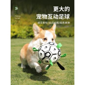 玩具球邊牧自嗨柯基訓練專用狗狗