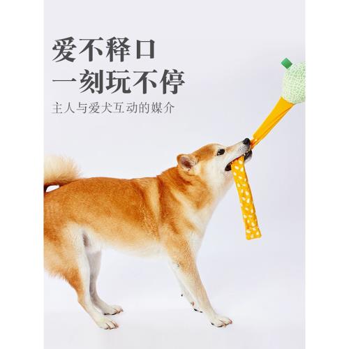 日本Petio派地奧狗狗玩具拔河拉扯柴犬磨牙啃咬潔齒大中小型犬