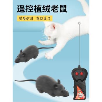 貓咪玩具電動老鼠遙控模擬假小老鼠逗貓解悶神器貓貓的自嗨貓用品
