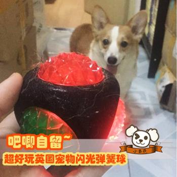 自留英國進口Rosewood寵物狗狗玩具閃光彈簧球發光球骨頭可浮水
