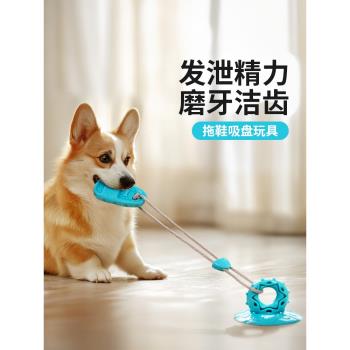 自嗨神器邊牧消耗寵物用品狗狗