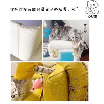 小賤貓 貓咪沙發防抓貼 貓抓貼 防貓爪 防貓撓貓抓 防傢俱貓抓