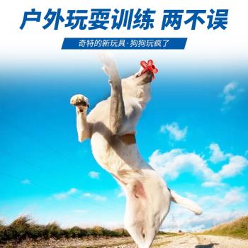 邊牧拉布拉多戶外寵物用品狗狗