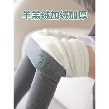羊羔絨打底褲女秋冬外穿高腰特厚保暖秋褲小個子加絨加厚大碼棉褲