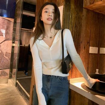 韓系polo領針織衫女秋冬裝2024新款設計感別致冬季chic上衣打底衫
