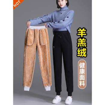 羊羔絨純棉休閑胖mm加厚運動褲