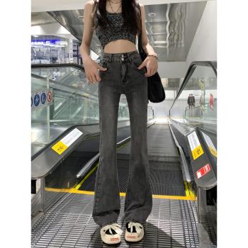 煙灰微喇牛仔褲女高腰小個子春秋大碼胖mm馬蹄喇叭褲子2024年新款