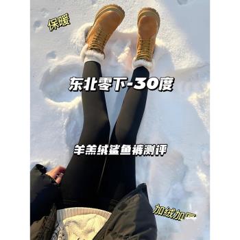 黑色顯瘦鯊魚褲女外穿秋冬加絨加厚高腰提臀芭比瑜伽保暖打底褲女