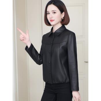 真皮皮衣女式短款小個子2024年海寧品牌春秋季綿羊皮夾克顯瘦外套