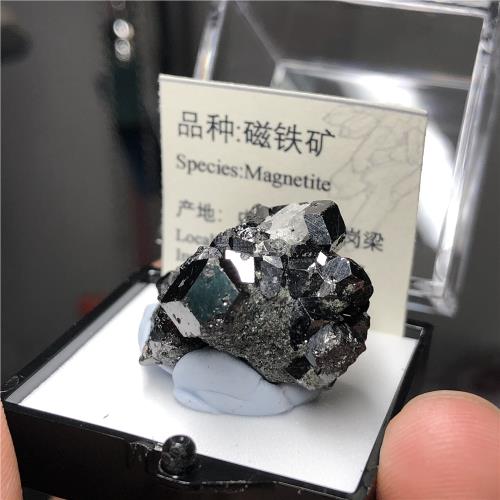 (免運)磁鐵礦原石黃崗梁天然礦物晶體十二面體貓礦石能量石寶石地質禮品