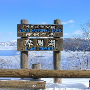 玩樂369北海道旅遊｜冬季白色燈樹節.旭山北極熊.幸運之森.熱氣球.摩周湖.三大蟹溫泉五日｜保住一晚鶴雅集團-SJP05CCR76